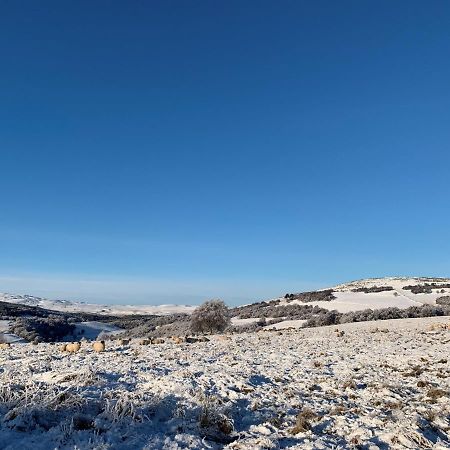 Villa West Gorton Grantown-on-Spey Esterno foto