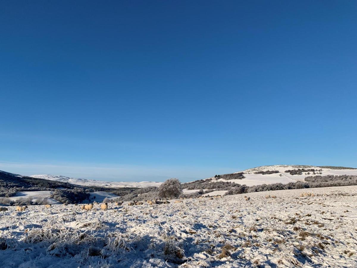 Villa West Gorton Grantown-on-Spey Esterno foto